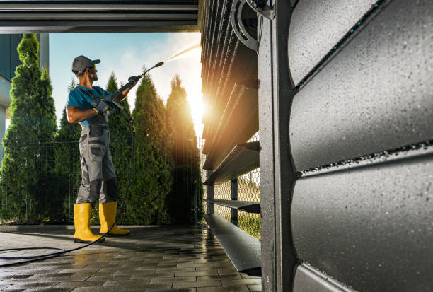 Best Dumpster Area Cleaning  in Lido Beach, NY